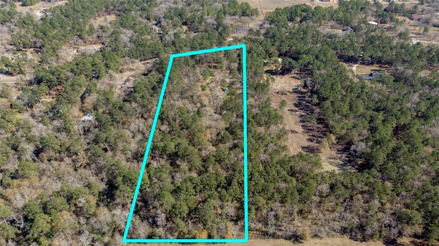 83 Dahlia Dr, Huntsville, TX 77320 - photo 47