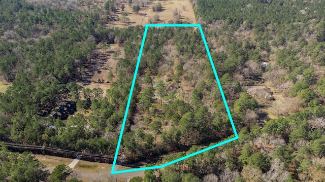 83 Dahlia Dr, Huntsville, TX 77320 - photo 46