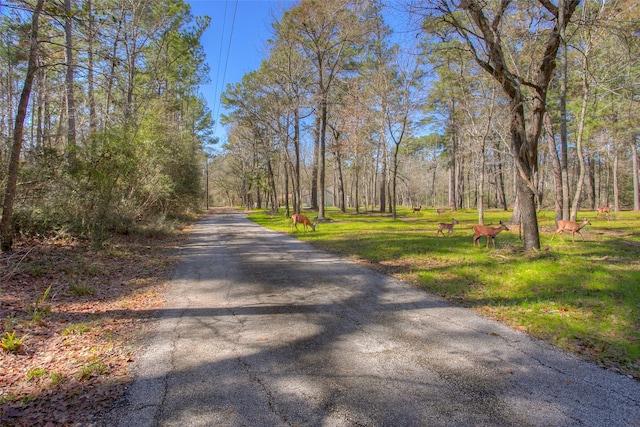 83 Dahlia Dr, Huntsville, TX 77320 - photo 42