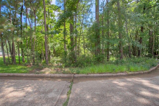 412 Piping Rock Dr, Huntsville, TX 77340 - photo 3