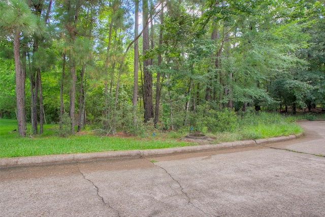 412 Piping Rock Dr, Huntsville, TX 77340 - photo 4
