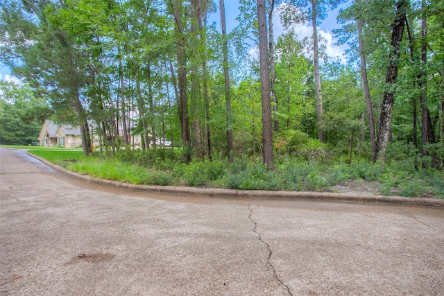412 Piping Rock Dr, Huntsville, TX 77340 - photo 5