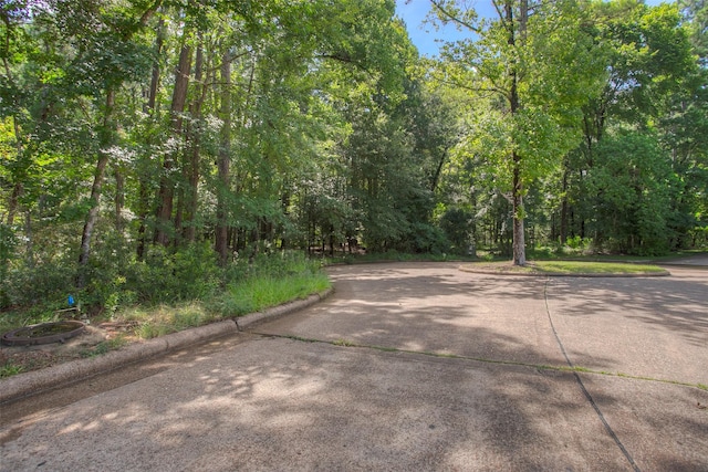412 Piping Rock Dr, Huntsville, TX 77340 - photo 6