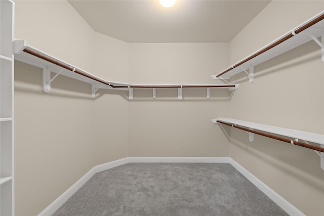 207 Cattle Ranch Dr, Richmond, TX 77469 - walk in closet with carpet floors