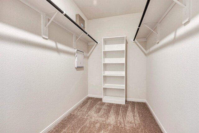 25062 Lindsey Ln, Magnolia, TX 77354 - walk in closet featuring carpet
