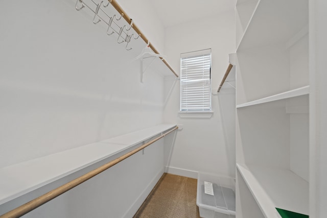 2616 Riverside Dr Unit F, Houston, TX 77004 - photo 21