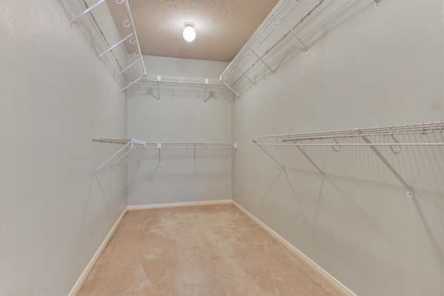 930 Arbor Pne, Tomball, TX 77375 - photo 33