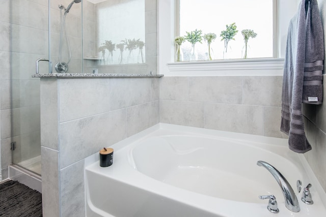 8023 Royal Palm Dr, Fulshear, TX 77441 - full bathroom with a bath and a shower stall
