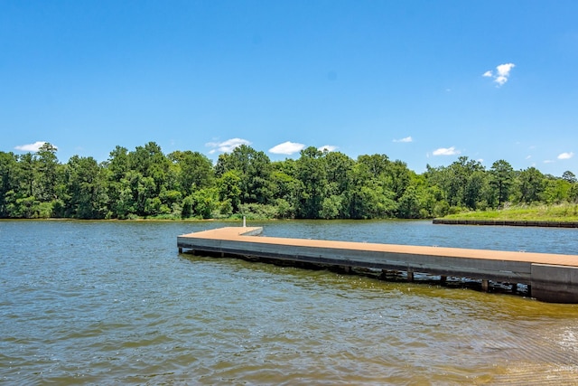 11526 Gingerland Dr, Conroe, TX 77304 - dock area featuring a water view