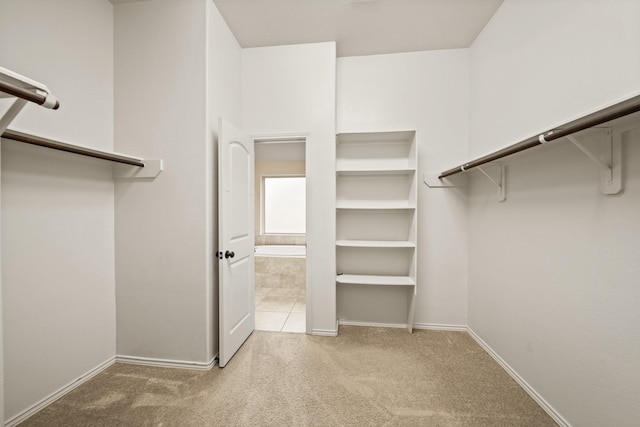 1303 Paradise Creek Ln, Rosenberg, TX 77471 - spacious closet featuring carpet flooring