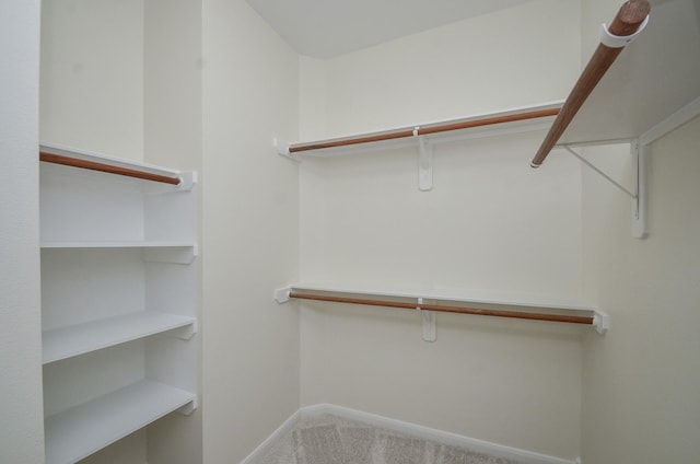 3306 Knollcrest Ln, Pearland, TX 77584 - photo 29
