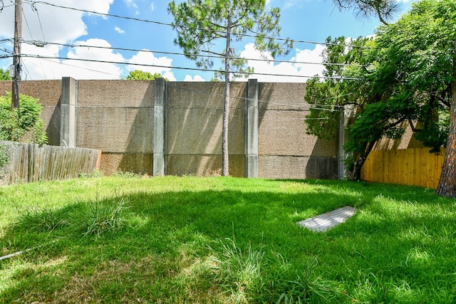4114 Lemac Dr, Houston, TX 77025 - view of yard