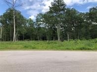 142 County Road 6324b, Dayton, TX 77535 - photo 1