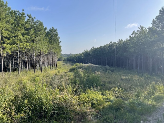 TBD(Lot45) Cr 1060, Center, TX 75935