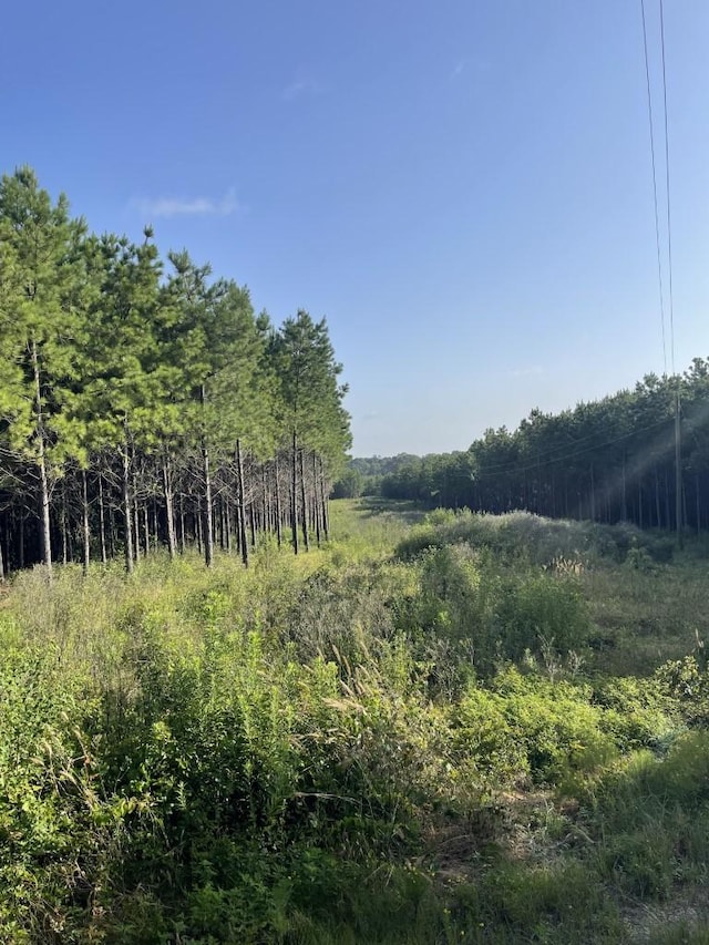 TBD(Lot45) Cr 1060, Center, TX 75935