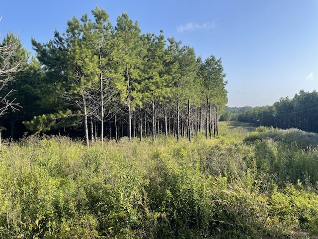 TBD(Lot45) Cr 1060, Center, TX 75935