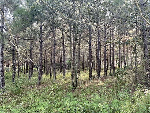 TBD(Lot45) Cr 1060, Center, TX 75935