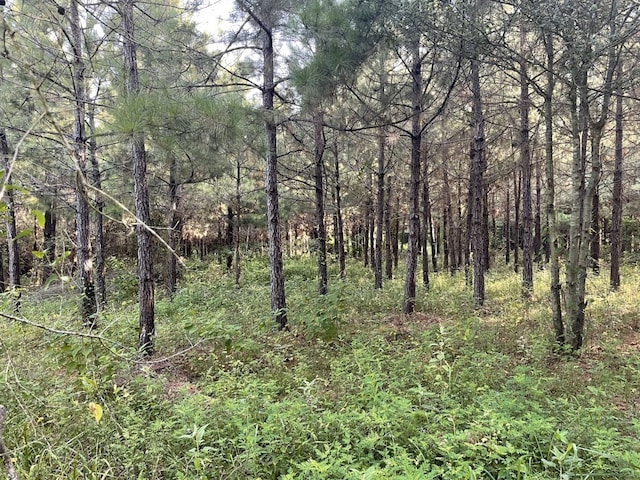 TBD(Lot45) Cr 1060, Center, TX 75935
