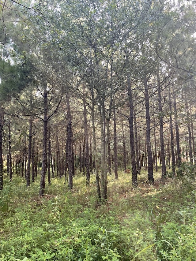 TBD(Lot45) Cr 1060, Center, TX 75935