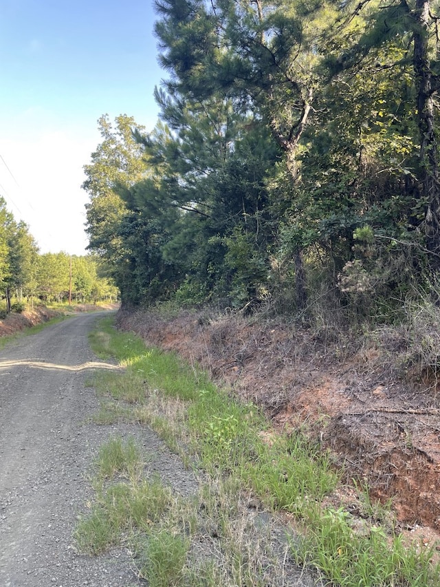 TBD(Lot45) Cr 1060, Center, TX 75935