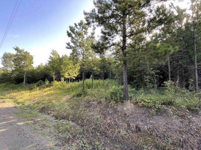TBD(Lot45) Cr 1060, Center, TX 75935