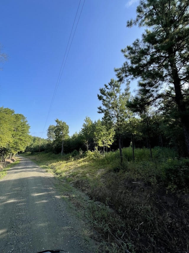 TBD(Lot45) Cr 1060, Center, TX 75935