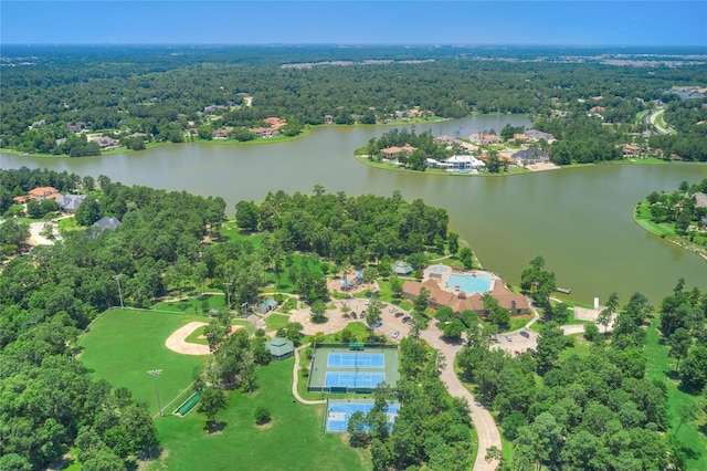 4203 Pikard Way Ct, Spring, TX 77386 - photo 47