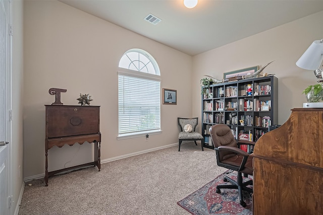 406 Riesling Dr, Alvin, TX 77511 - carpeted office with plenty of natural light