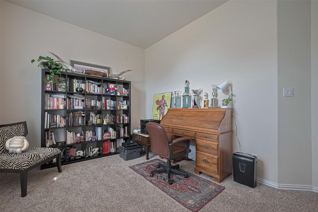 406 Riesling Dr, Alvin, TX 77511 - office space featuring carpet floors
