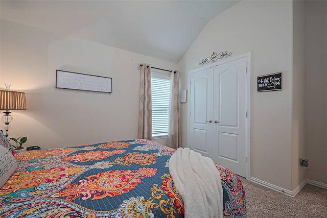 406 Riesling Dr, Alvin, TX 77511 - bedroom with lofted ceiling, carpet flooring, and a closet