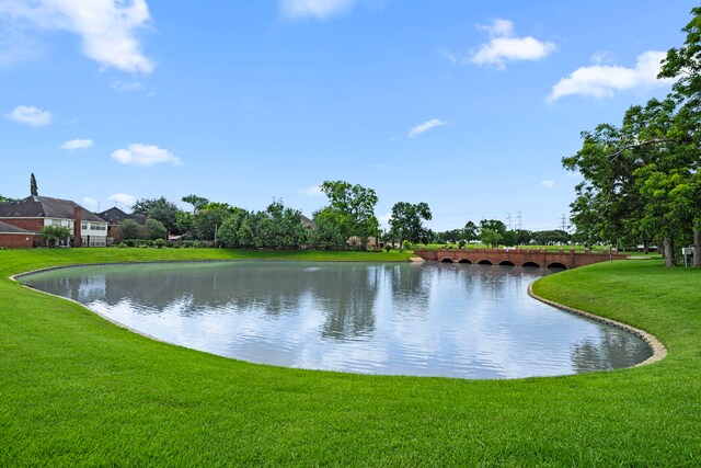 19 Sterling St, Sugar Land, TX 77479 - photo 37