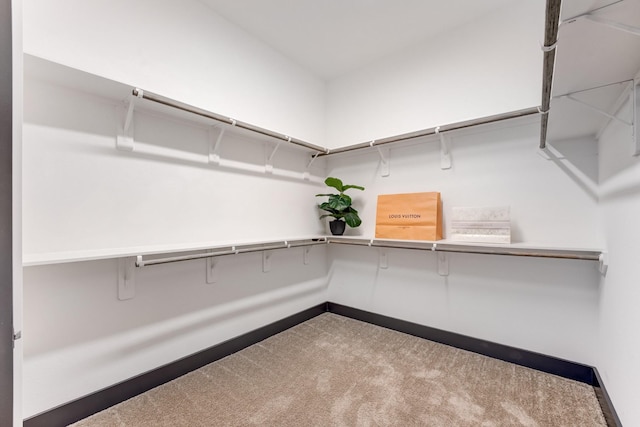 28723 Eden Creek Trl, Fulshear, TX 77441 - walk in closet featuring carpet floors