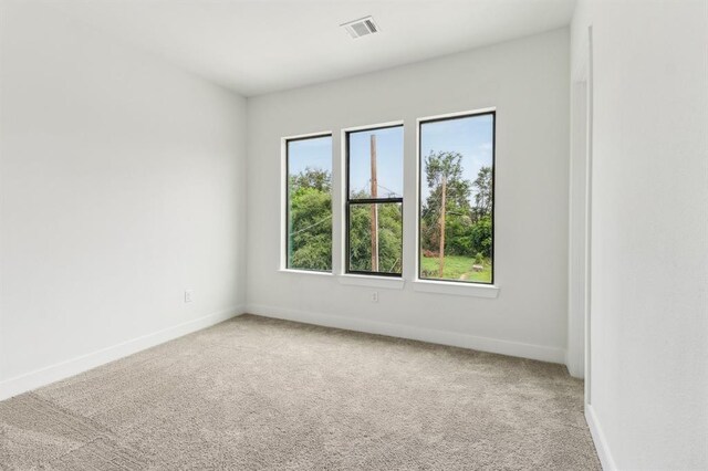 313 Tennessee, Houston, TX 77029