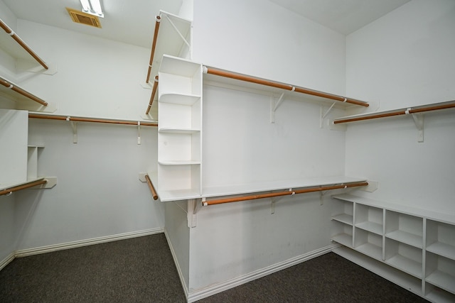31 Crest Gate, Houston, TX 77082 - spacious closet with dark carpet