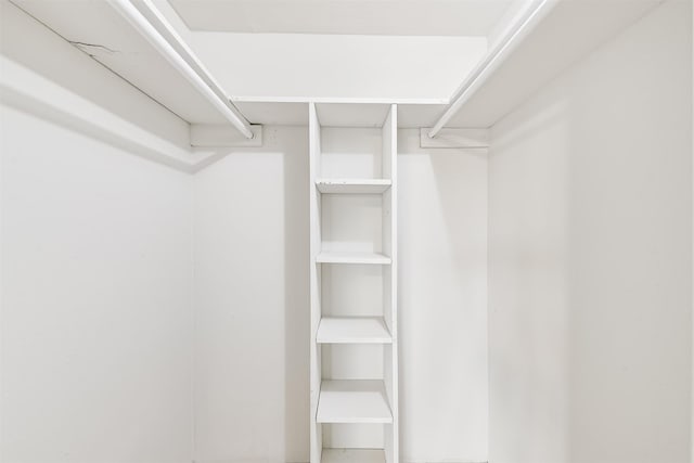 4500 Sherwood Ln Unit 8, Houston, TX 77092 - view of walk in closet