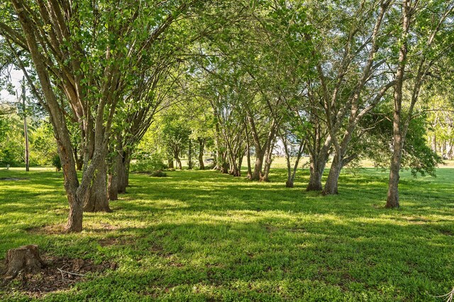 214 Caleta Cir, Richmond, TX 77406 - view of green lawn