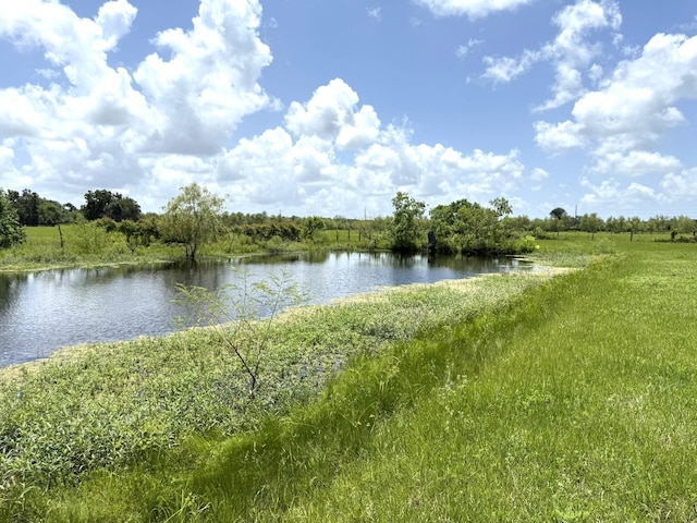 1008 County Road 903b, Brazoria, TX 77422 - photo 29