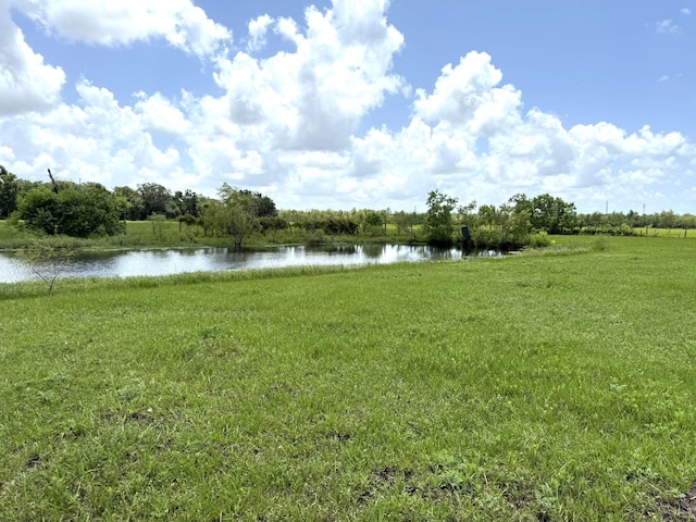 1008 County Road 903b, Brazoria, TX 77422 - photo 30