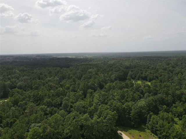 02 Garland, Magnolia, TX 77354 - photo 8
