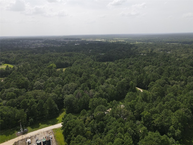 02 Garland, Magnolia, TX 77354 - photo 10