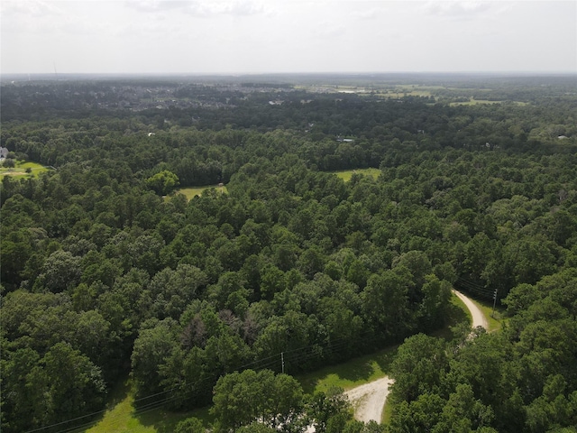 02 Garland, Magnolia, TX 77354 - photo 11