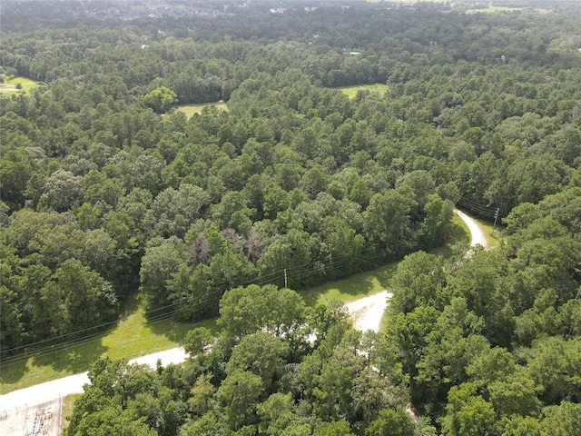 02 Garland, Magnolia, TX 77354 - photo 12