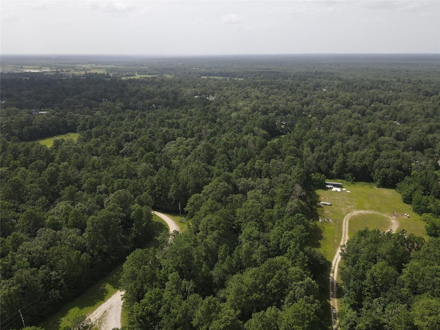 02 Garland, Magnolia, TX 77354 - photo 13