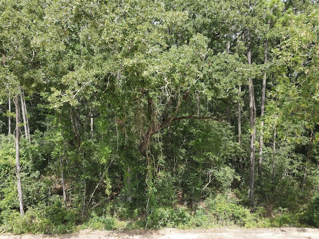 02 Garland, Magnolia, TX 77354 - photo 26