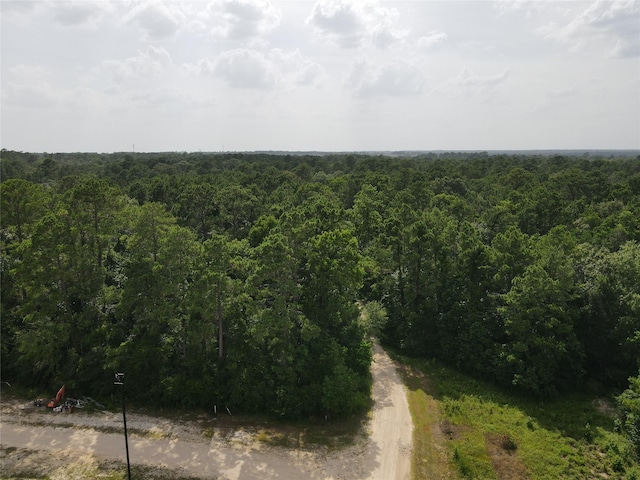 02 Garland, Magnolia, TX 77354 - photo 29
