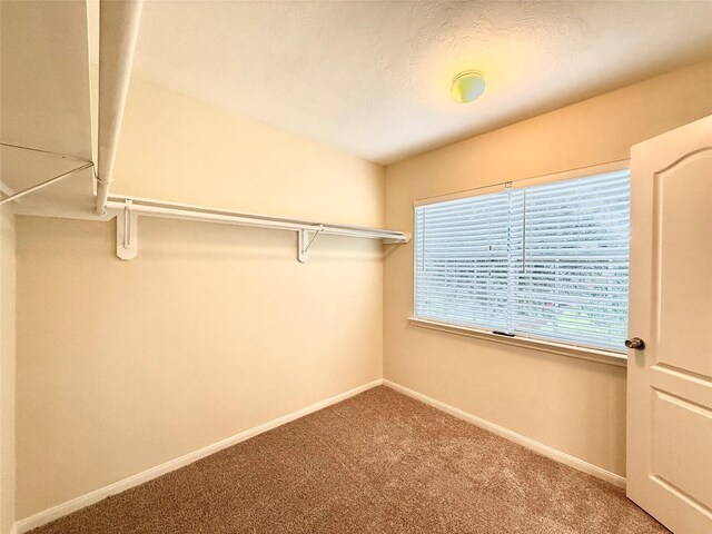16642 Village View Trl, Sugar Land, TX 77498 - photo 20