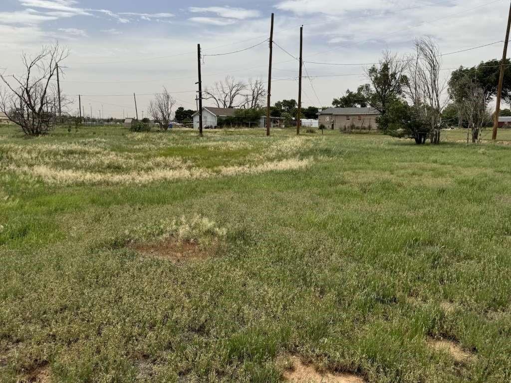 209 N Niter Ave, Lubbock, TX 79403