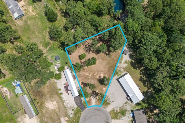 16355 Crockett Martin Estates Dr, Conroe, TX 77306