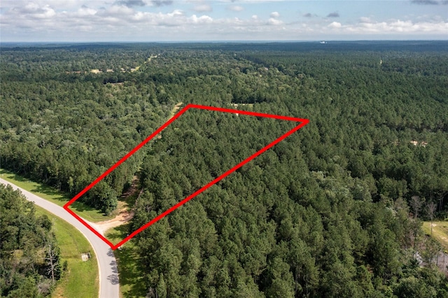 10775 Ruger Rd, Willis, TX 77378 - photo 2