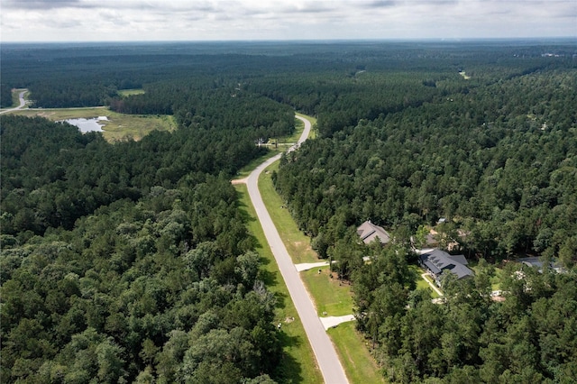 10775 Ruger Rd, Willis, TX 77378 - photo 8